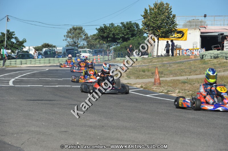 DSC (2649).JPG